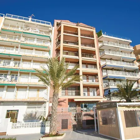 Amazing In With Wifi Торевьиа